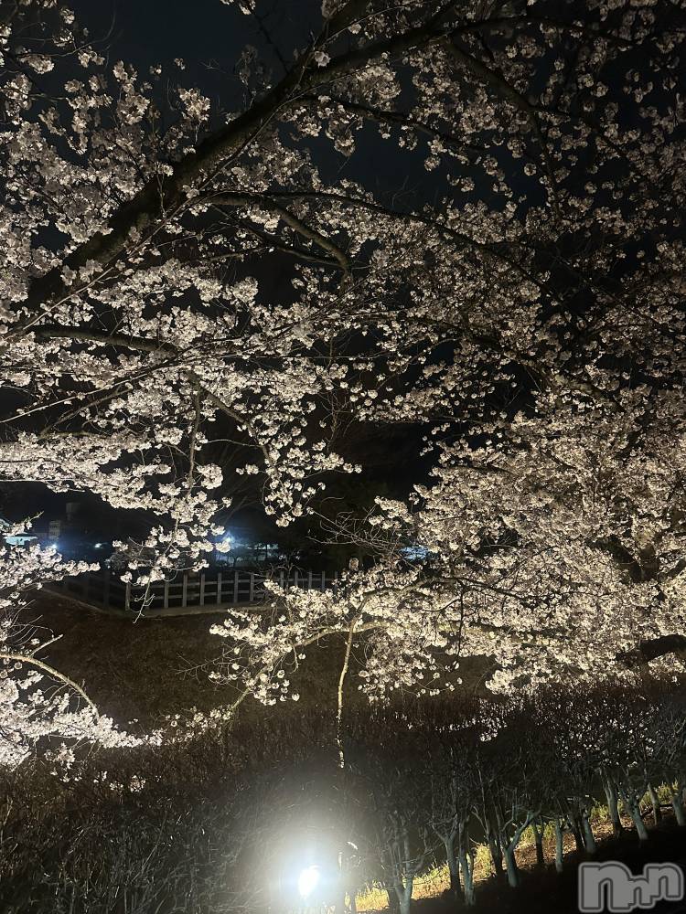 ���ܱ������ʥå��������륺�С�Girls bar Zenith(�����륺�С����˥�) �ޤ���4��10���̥�֥�����𓂃🌸𓈒𓏸��