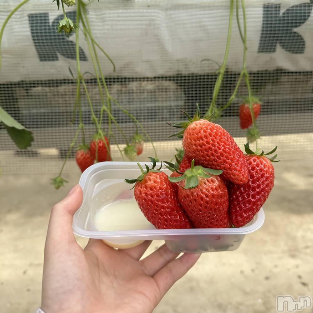 ���ܱ������ʥå��������륺�С�Girls bar Zenith(�����륺�С����˥�) �ޤ���4��16���̥�֥�����🍓��