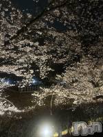 ���ܱ������ʥå��������륺�С�Girls bar Zenith(�����륺�С����˥�) �ޤ��(23)��4��10���̥�֥�����𓂃🌸𓈒𓏸��