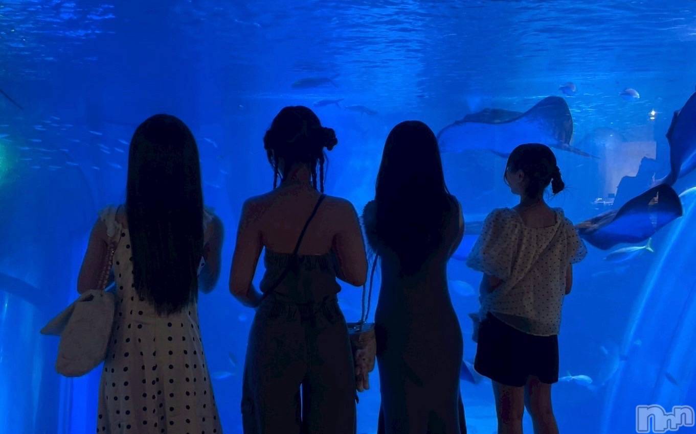 ܱʥå륺СGirls bar Zenith(륺С˥) 2025ǯ819̥֥🐬🐟🐠