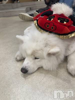 ���ܱ������ʥå��������륺�С�Girls bar Zenith(�����륺�С����˥�) �ޤ��(23)��1��22���̥�֥�����⑅︎ᩥ𞄵•ܸ · •ܸ⑅︎ᩥ𞄵��