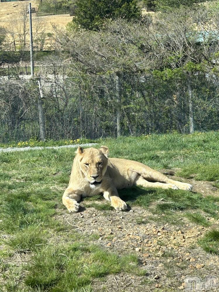 Įʥå륺Сsnack NODOKA(ʥåΥɥ) 1114̥֥🦁