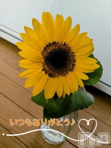 新潟人妻デリヘル熟女の風俗 最終章(ジュクジョノフウゾクサイシュウショウ)ひまわり(43)の2024年8月5日写メブログ「ラブレターだよ💌𓂃𓈒𓂂𓏸」
