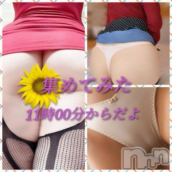 新潟人妻デリヘル熟女の風俗 最終章(ジュクジョノフウゾクサイシュウショウ)ひまわり(43)の2025年2月27日写メブログ「オ・キ・ニ・イ・リ」