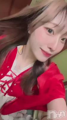 �ϥ�������‼️