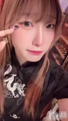 ͭ���Ԥ�������‼️‼️