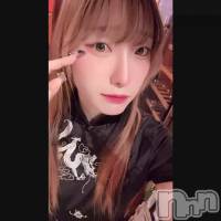 ͭ���Ԥ�������‼️‼️