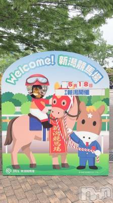 ȯѥ˥󥯥ֿ㥳ѥ˥󥯥 HAPPY(˥ѥ˥󥯥 ϥåԡ) 椦(23)518̥֥֤ϤƤ!!