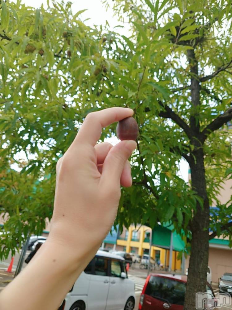 長岡人妻デリヘルBIANCA～主人の知らない私～長岡店(ビアンカナガオカテン) 篠宮　るう(39)の10月25日写メブログ「秋みっけ🍁」
