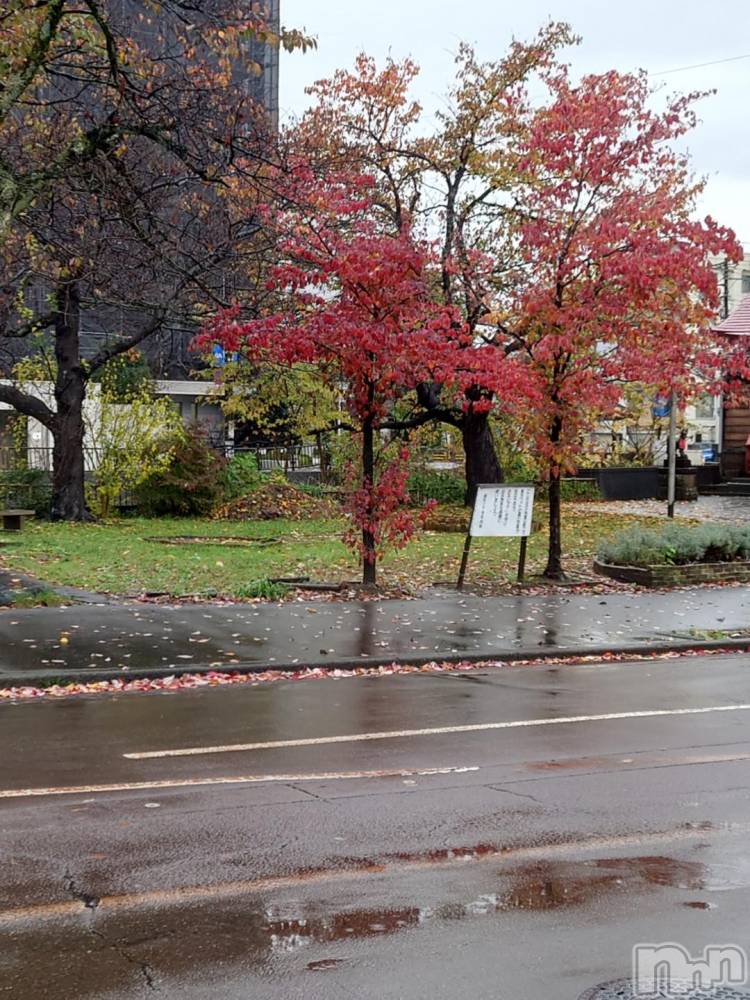 長岡デリヘルBIANCA～主人の知らない私～長岡店(ビアンカナガオカテン) 篠宮　るう(39)の11月18日写メブログ「山にほしい赤」