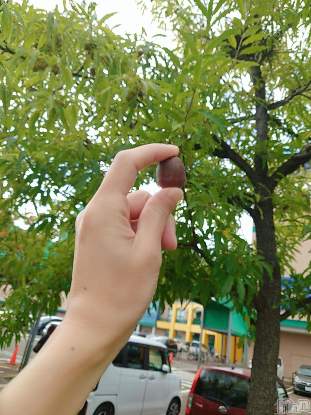 長岡デリヘルBIANCA～主人の知らない私～長岡店(ビアンカナガオカテン)篠宮　るう(39)の2024年10月25日写メブログ「秋みっけ🍁」