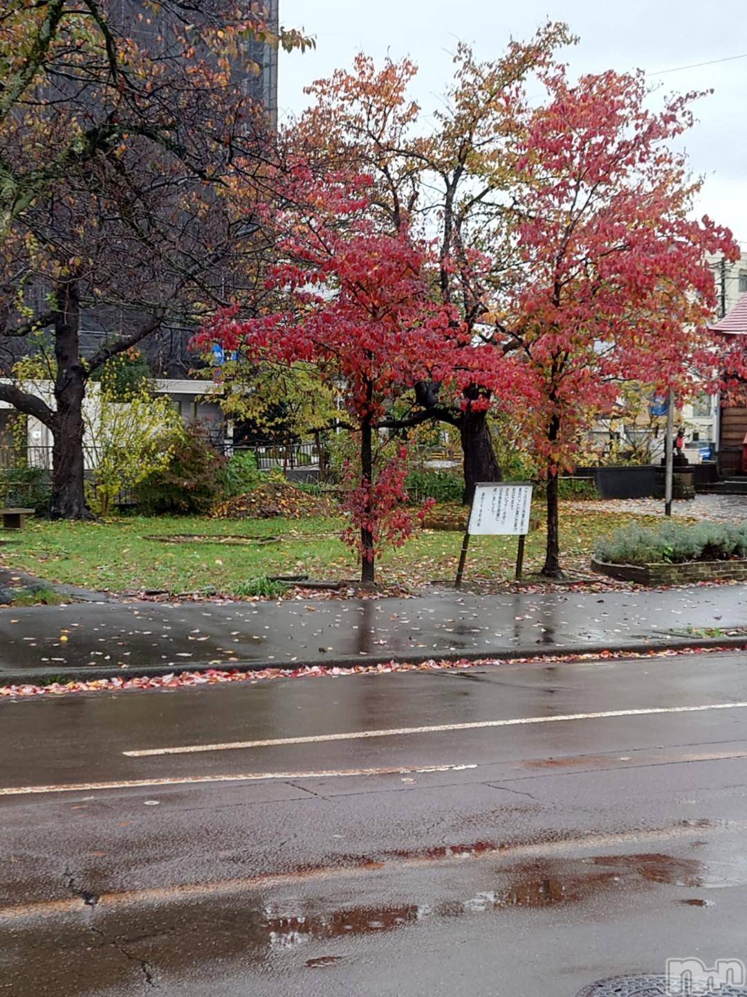 長岡デリヘルBIANCA～主人の知らない私～長岡店(ビアンカナガオカテン)篠宮　るう(39)の2024年11月18日写メブログ「山にほしい赤」