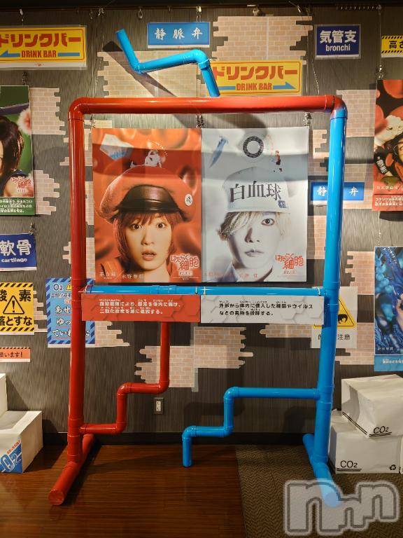 長岡デリヘルBIANCA～主人の知らない私～長岡店(ビアンカナガオカテン)篠宮　るう(39)の2025年1月8日写メブログ「おもしろかったよ！」