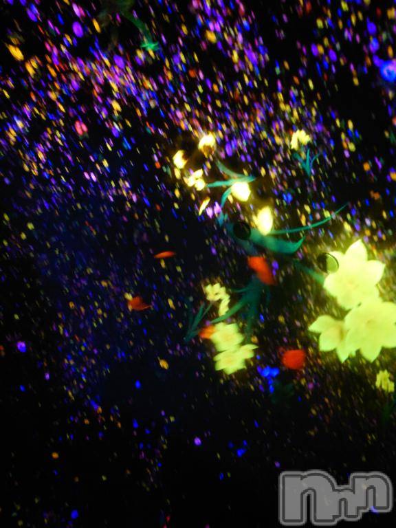 長岡デリヘルBIANCA～主人の知らない私～長岡店(ビアンカナガオカテン)篠宮　るう(39)の2025年5月30日写メブログ「お礼日記🧐」