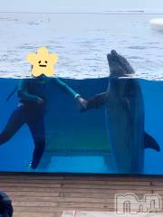 長岡デリヘルBIANCA～主人の知らない私～長岡店(ビアンカナガオカテン) 篠宮　るう(39)の5月19日写メブログ「お出かけしてきた✧⁠◝⁠(⁠⁰⁠▿⁠⁰⁠)⁠◜⁠✧」