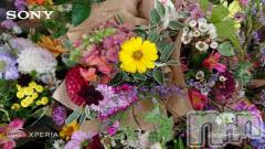 長岡デリヘルBIANCA～主人の知らない私～長岡店(ビアンカナガオカテン) 篠宮　るう(39)の5月1日写メブログ「お礼日記🩷」