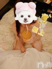長岡デリヘルBIANCA～主人の知らない私～長岡店(ビアンカナガオカテン) 篠宮　るう(39)の5月18日写メブログ「お礼日記💓」