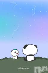 長岡デリヘルBIANCA～主人の知らない私～長岡店(ビアンカナガオカテン) 篠宮　るう(39)の12月26日写メブログ「写真がどっかにいった😱」