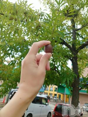 長岡デリヘル BIANCA～主人の知らない私～長岡店(ビアンカナガオカテン) 篠宮　るう(39)の10月25日写メブログ「秋みっけ🍁」