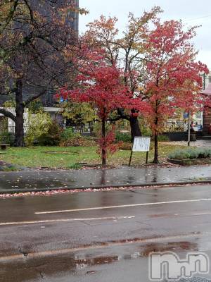 長岡デリヘル BIANCA～主人の知らない私～長岡店(ビアンカナガオカテン) 篠宮　るう(39)の11月18日写メブログ「山にほしい赤」