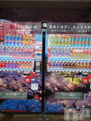 長岡デリヘル BIANCA～主人の知らない私～長岡店(ビアンカナガオカテン) 篠宮　るう(39)の4月17日写メブログ「お花見！」