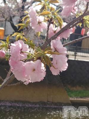 長岡デリヘル BIANCA～主人の知らない私～長岡店(ビアンカナガオカテン) 篠宮　るう(39)の4月25日写メブログ「お礼日記✨」