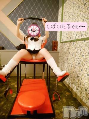 長岡デリヘル BIANCA～主人の知らない私～長岡店(ビアンカナガオカテン) 篠宮　るう(39)の6月6日写メブログ「お礼日記🙂‍↕️」