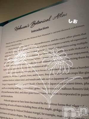 長岡デリヘル BIANCA～主人の知らない私～長岡店(ビアンカナガオカテン) 天海　しお(32)の10月7日写メブログ「出勤day」