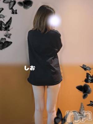 長岡デリヘル BIANCA～主人の知らない私～長岡店(ビアンカナガオカテン) 天海　しお(32)の3月7日写メブログ「おはぴよ！」