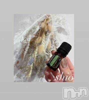 長岡デリヘル BIANCA～主人の知らない私～長岡店(ビアンカナガオカテン) 天海　しお(32)の7月17日写メブログ「good day!」