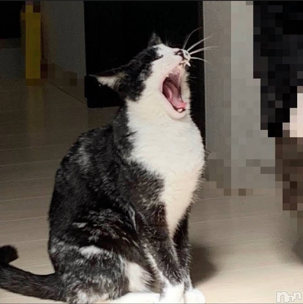 ĮХ顦Lounge R Style(饦󥸥륹) 2025ǯ66̥֥֤ˤá