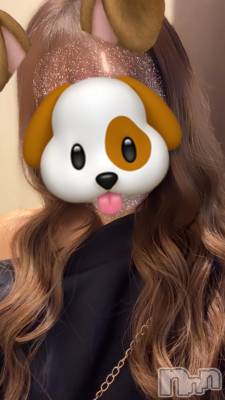 ĮХ顦Lounge R Style(饦󥸥륹) (18)1214̥֥🐶