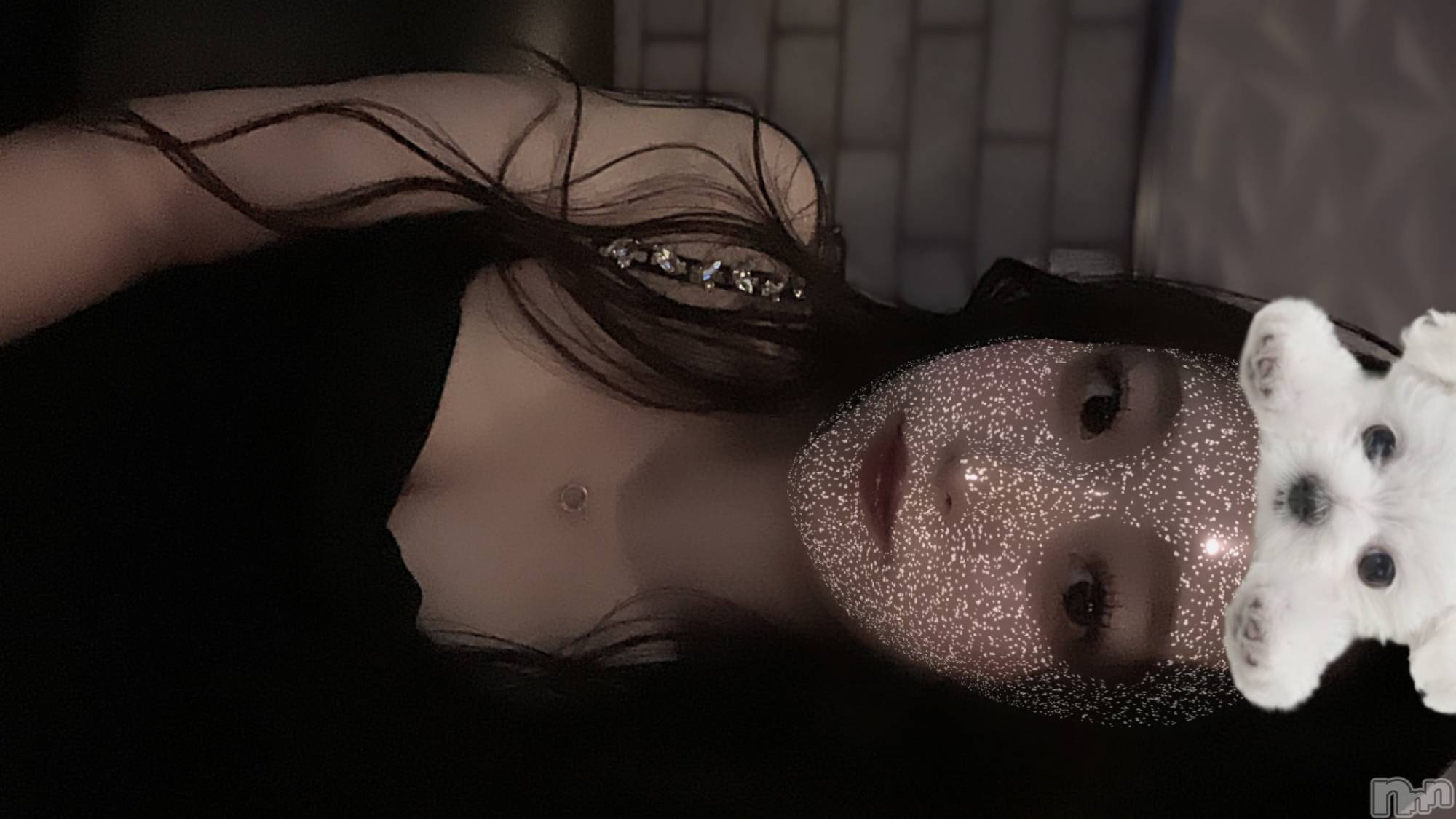 ƲХ顦clubTiara(ƥ) 2024ǯ924̥֥꙳ ⋆ ⸝⸝
