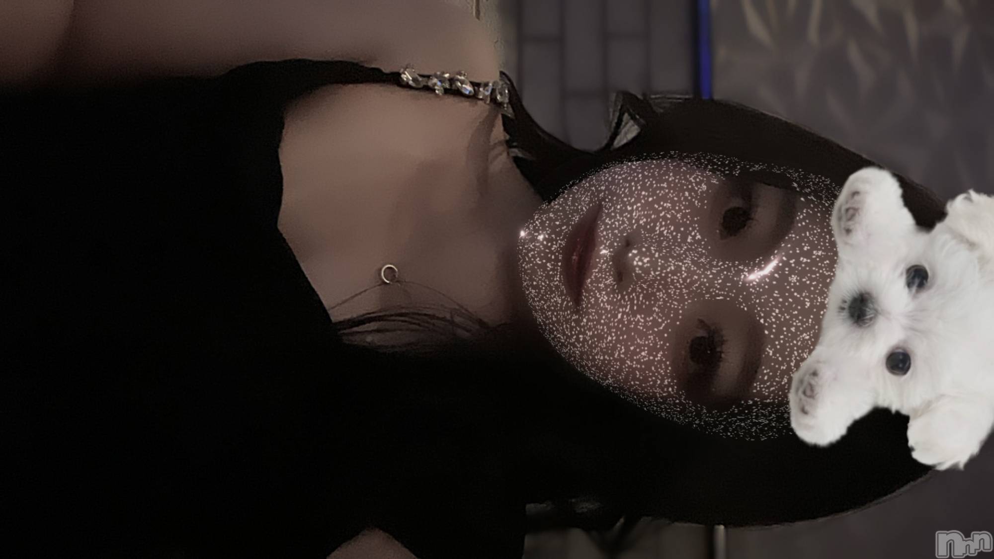ƲХ顦clubTiara(ƥ) 2024ǯ928̥֥꙳ ⋆ ⸝⸝
