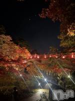 ȯѥ˥󥯥ֿ㥳ѥ˥󥯥 HAPPY(˥ѥ˥󥯥 ϥåԡ) ޥޡߤʤ(99)1110̥֥֥å