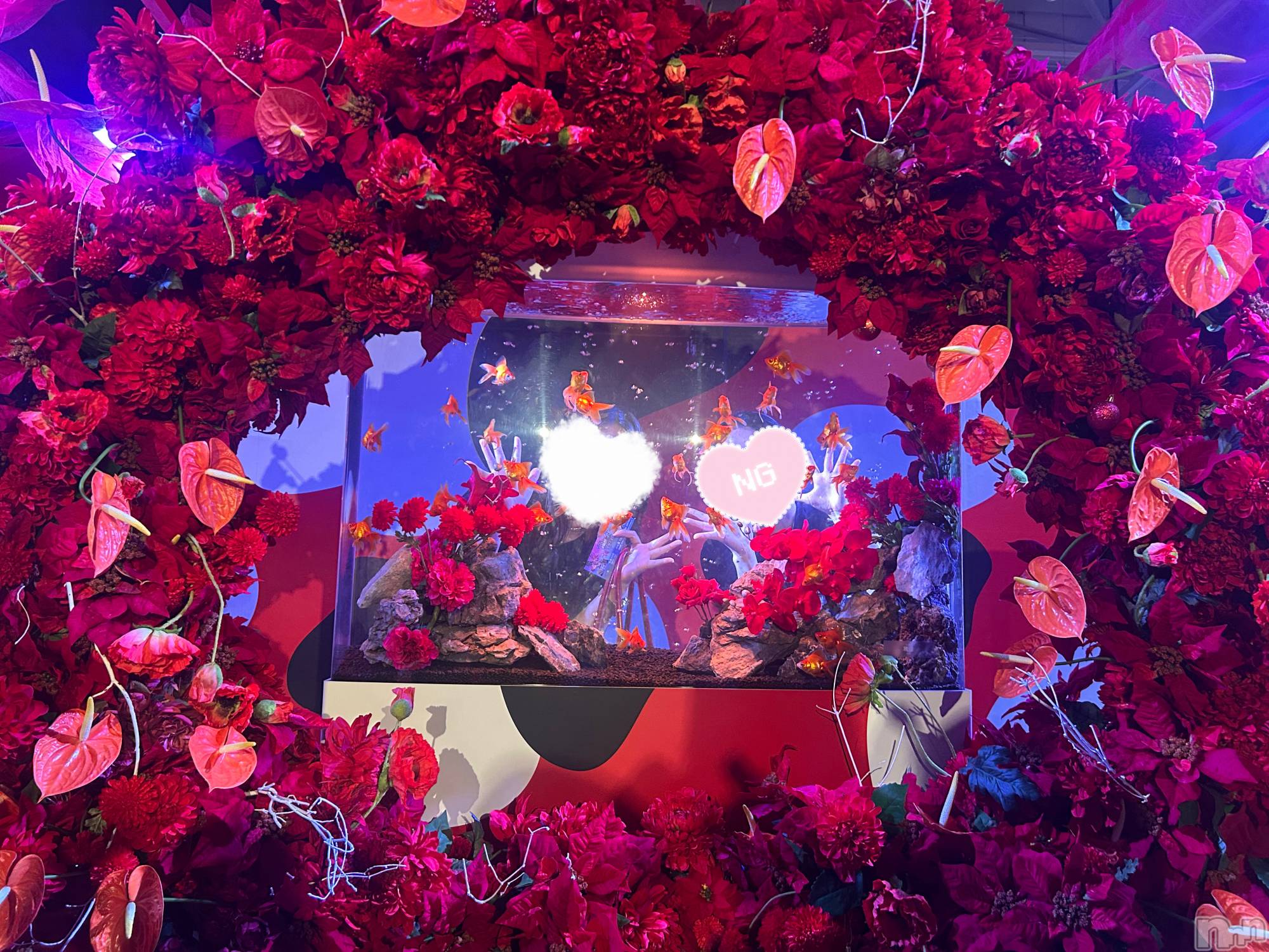 ȯѥ˥󥯥ֿ㥳ѥ˥󥯥 HAPPY(˥ѥ˥󥯥 ϥåԡ) 2025ǯ825ֻ̥֥❤️