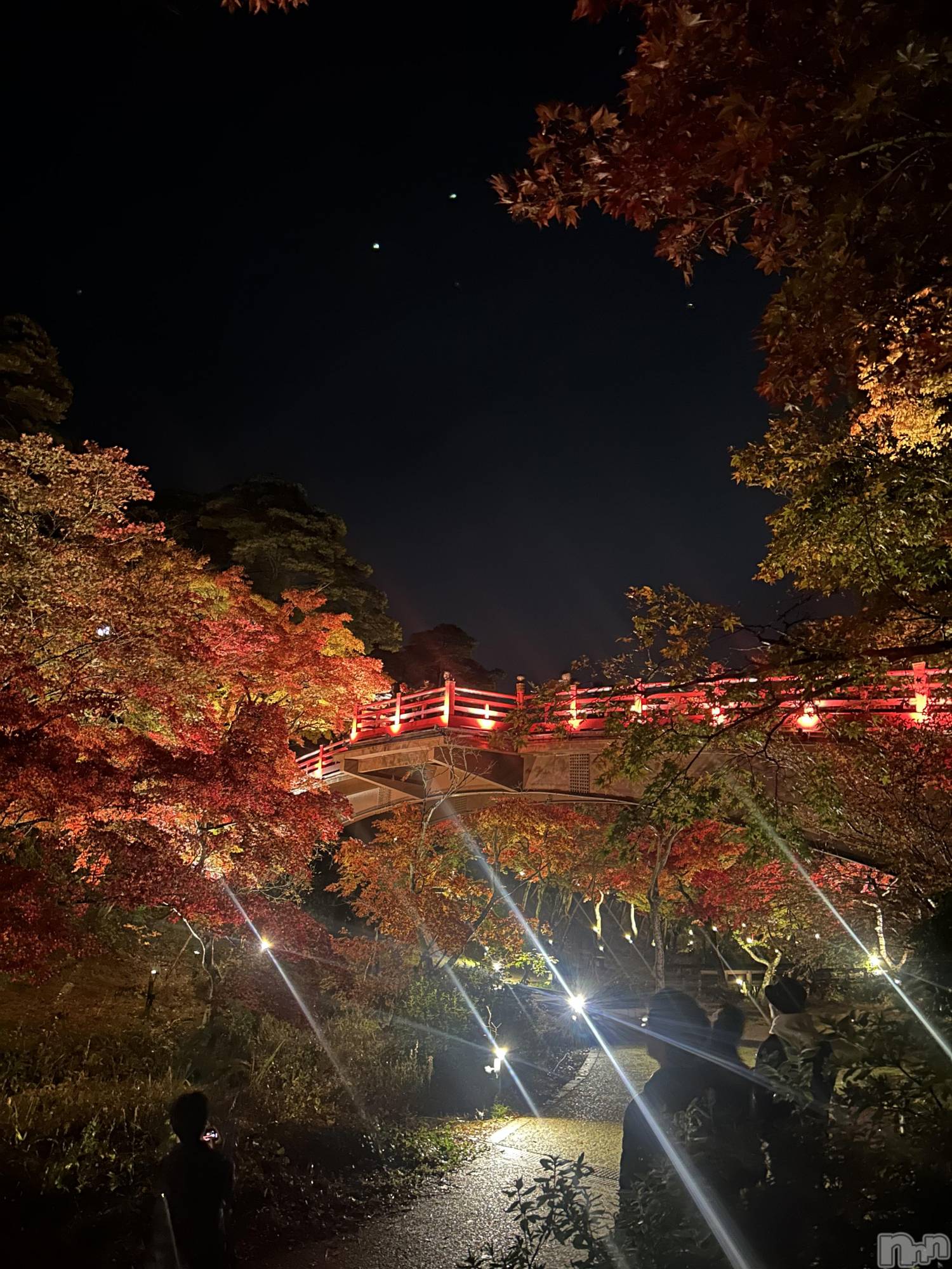 ȯѥ˥󥯥ֿ㥳ѥ˥󥯥 HAPPY(˥ѥ˥󥯥 ϥåԡ) 2025ǯ1110̥֥֥å