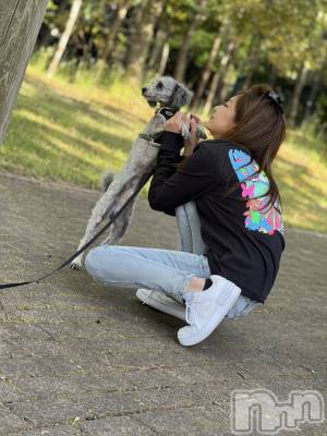 ȯѥ˥󥯥ֿ㥳ѥ˥󥯥 HAPPY(˥ѥ˥󥯥 ϥåԡ) դߤʤ(99)1027̥֥🐕