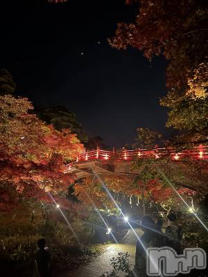 ȯѥ˥󥯥ֿ㥳ѥ˥󥯥 HAPPY(˥ѥ˥󥯥 ϥåԡ) ޥޡߤʤ(99)1110̥֥֥å