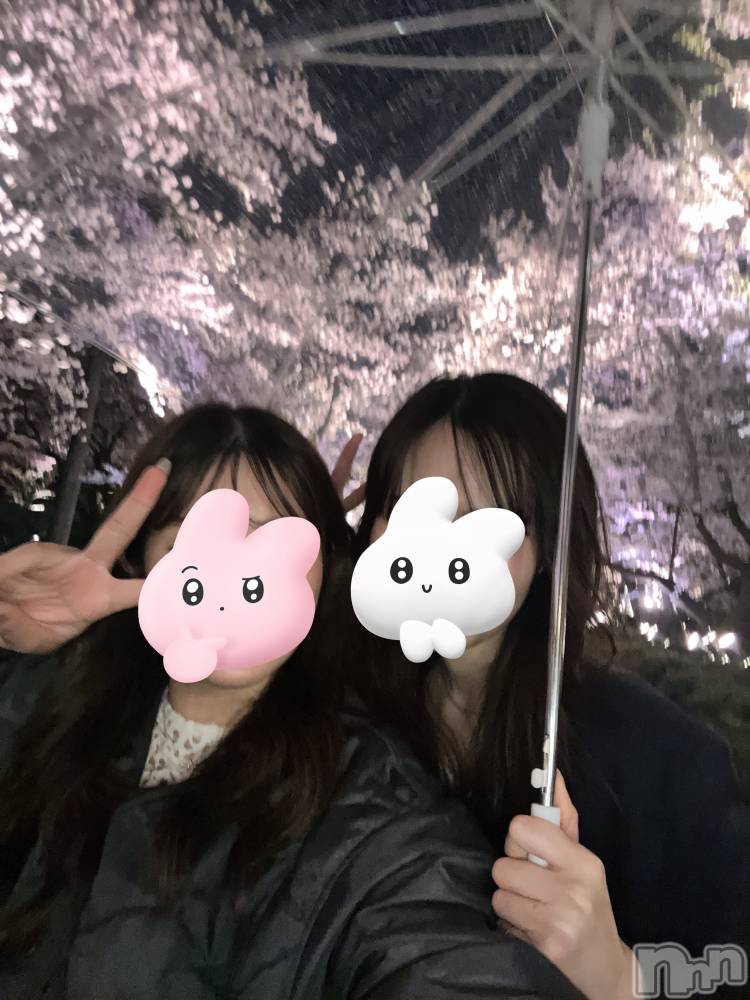 ȯѥ˥󥯥ֿ㥳ѥ˥󥯥 HAPPY(˥ѥ˥󥯥 ϥåԡ) ⤨415̥֥֤Ϥ🌸