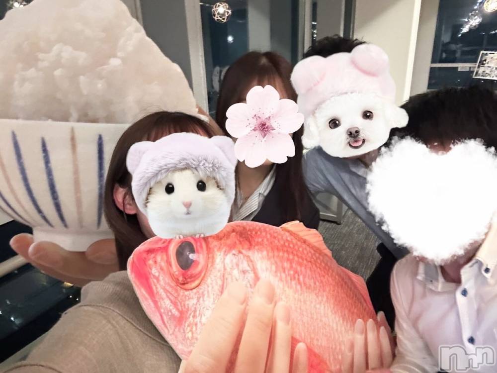 ȯѥ˥󥯥ֿ㥳ѥ˥󥯥 HAPPY(˥ѥ˥󥯥 ϥåԡ) ⤨717ֲ̥֥Ƥʪ