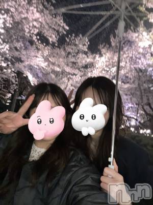 ȯѥ˥󥯥ֿ㥳ѥ˥󥯥 HAPPY(˥ѥ˥󥯥 ϥåԡ) ⤨(22)415̥֥֤Ϥ🌸