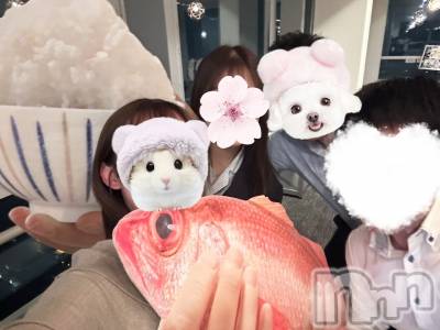 ȯѥ˥󥯥ֿ㥳ѥ˥󥯥 HAPPY(˥ѥ˥󥯥 ϥåԡ) ⤨(22)717ֲ̥֥Ƥʪ