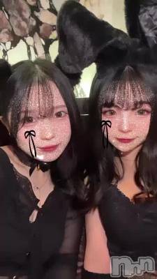 ˤ🐈‍⬛