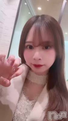 ���¤�❄️