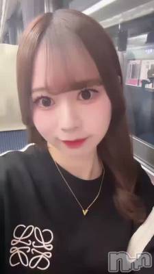 �Ȥ餦��🐯🐴