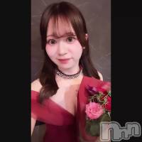 🆘 �������Î����ގ���⚡️