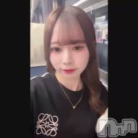 �Ȥ餦��🐯🐴