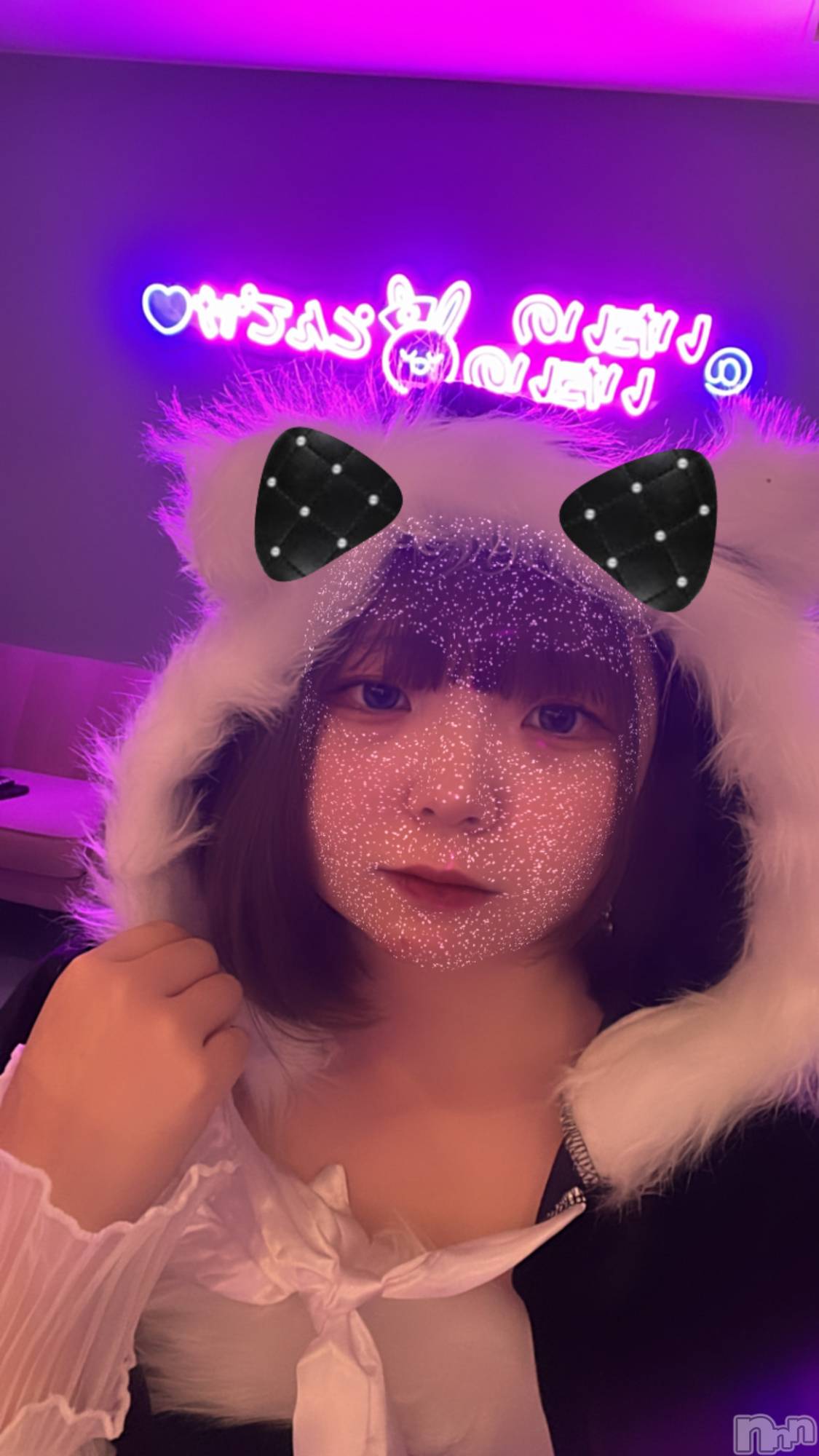 Ʋʥå륺С@ΤΤȤǤ(ΥΥȥǥ) 2024ǯ1226̥֥֥ꥹޥ
