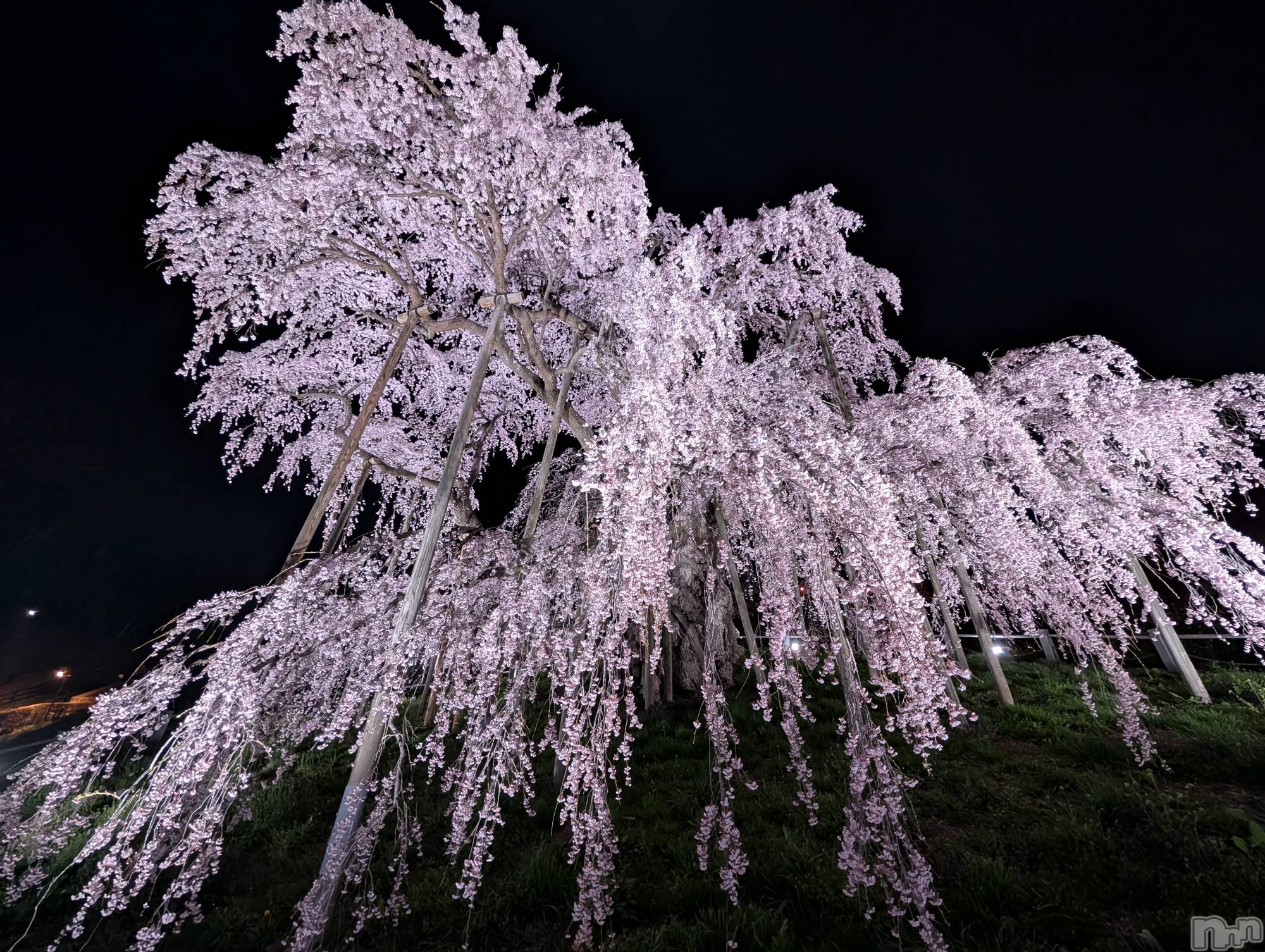 ʥå륺СSnack amie(ʥå ) 2025ǯ418̥֥🌸